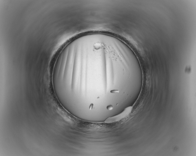 X0000093531270200710261243