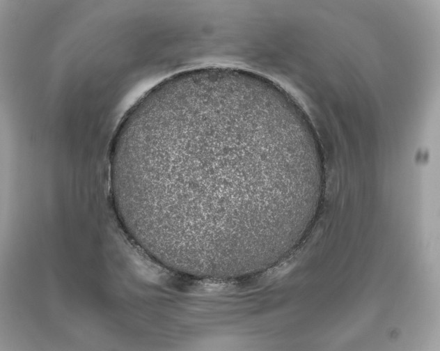 X0000093531271200710261243