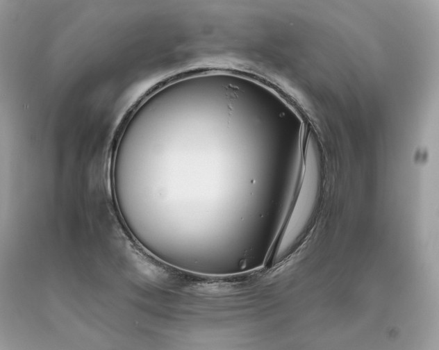 X0000093531272200710261243