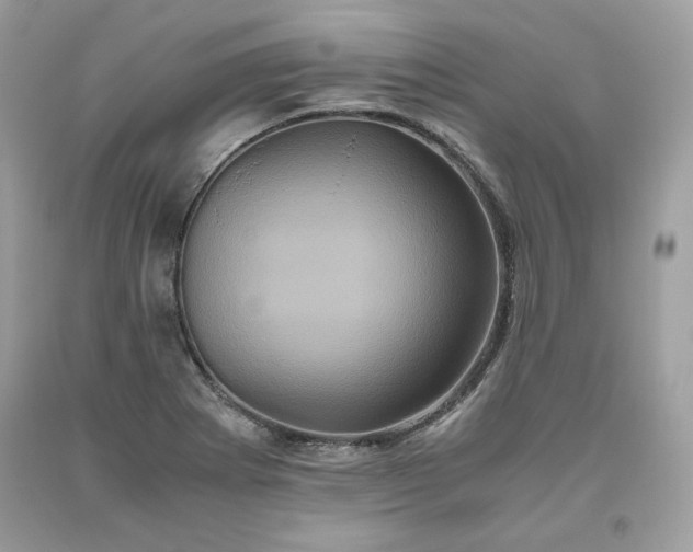 X0000093531273200710261243