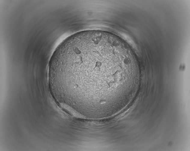 X0000093531275200710261243