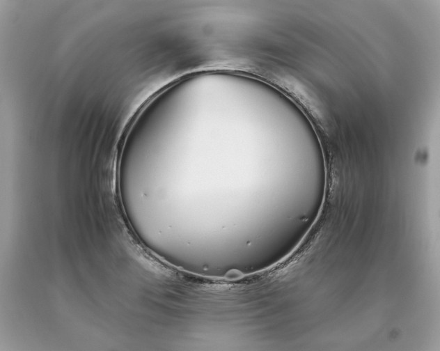 X0000093531276200710261243