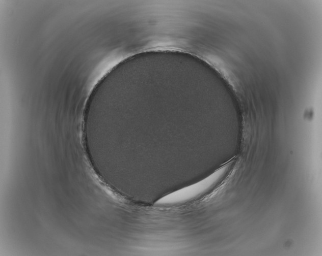 X0000093531277200710261243