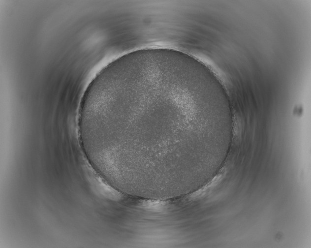 X0000093531278200710261243