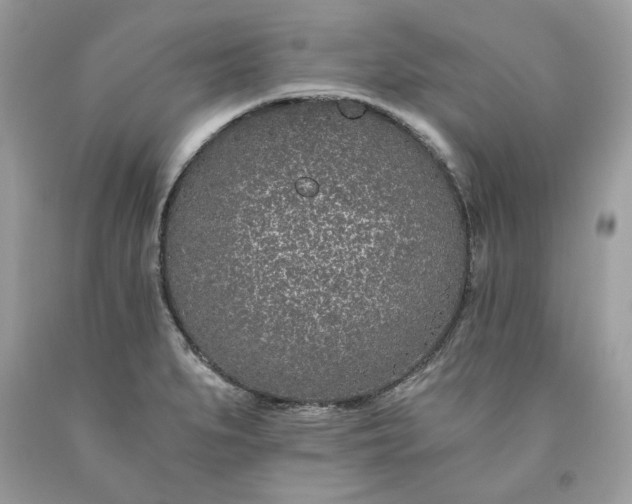 X0000093531279200710261243