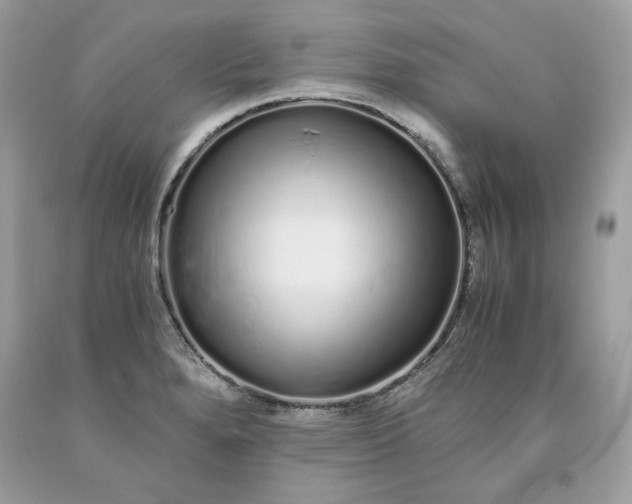 X0000093531280200710261243