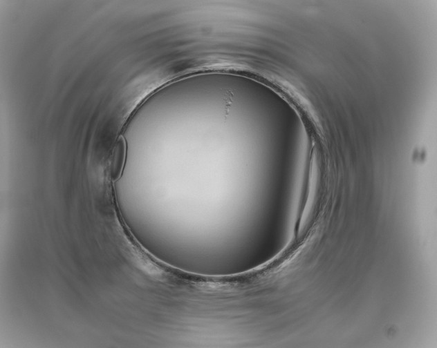 X0000093531281200710261243