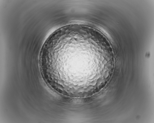 X0000093531283200710261243