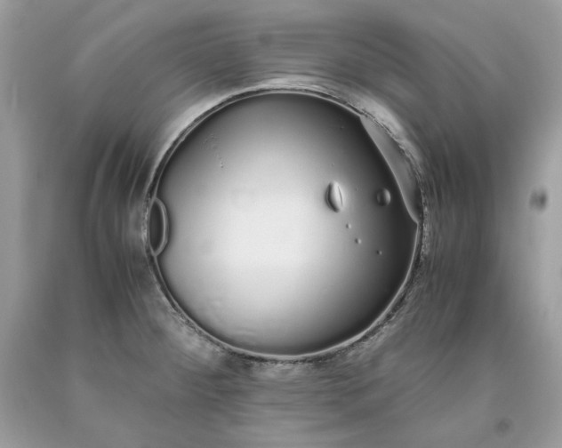 X0000093531284200710261243