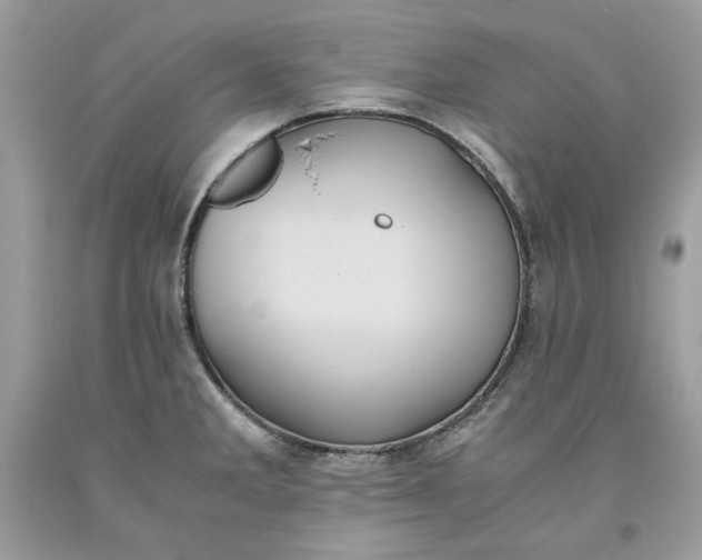 X0000093531285200710261243