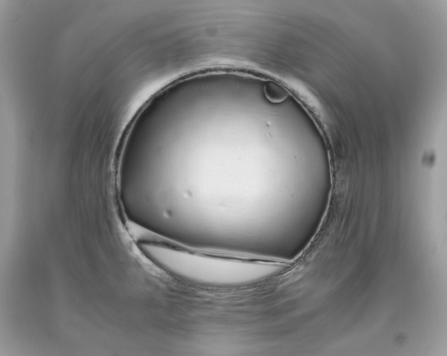 X0000093531287200710261243