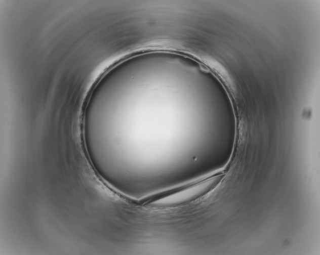 X0000093531288200710261243