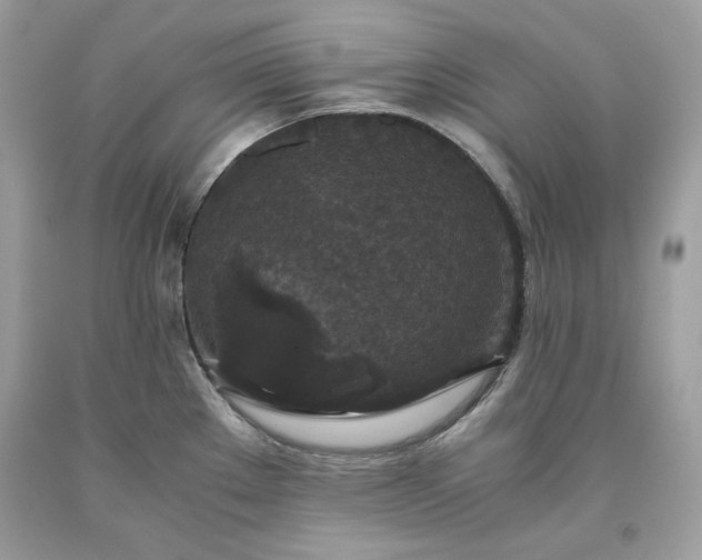 X0000093531289200710261243