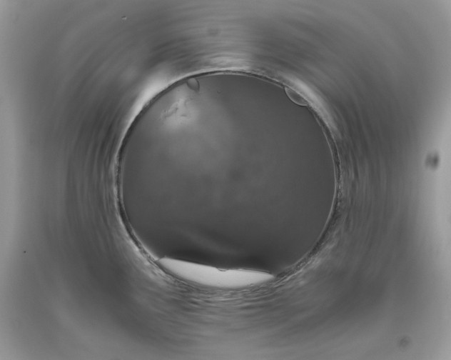 X0000093531291200710261243