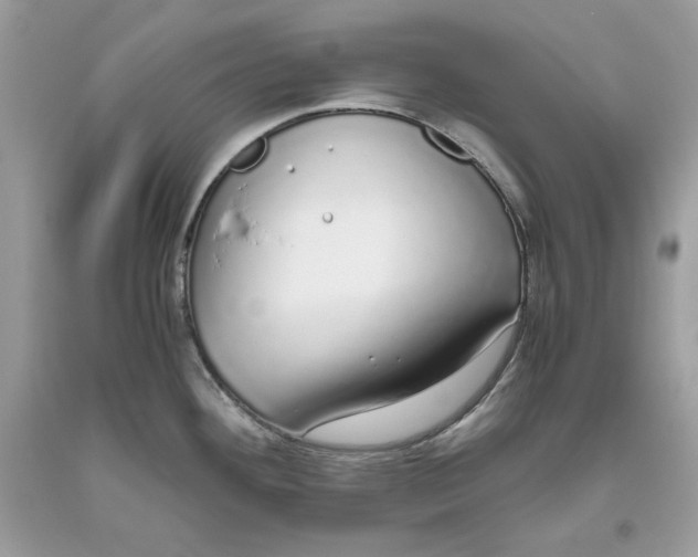 X0000093531292200710261243