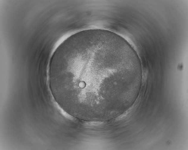 X0000093531294200710261243