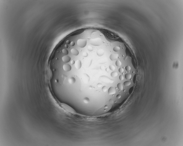 X0000093531295200710261243