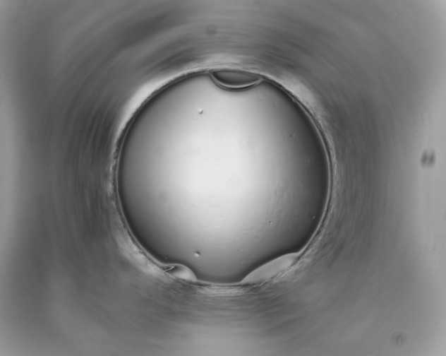 X0000093531296200710261243