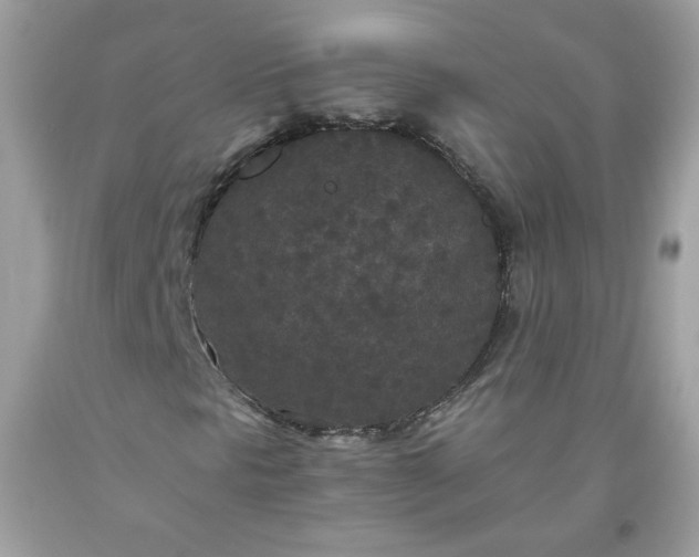 X0000093531297200710261242