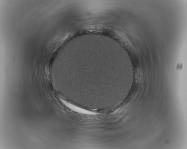 X0000093531298200710261242