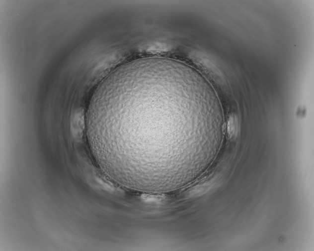 X0000093531299200710261242