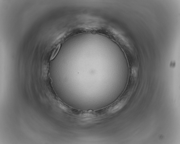 X0000093531300200710261242