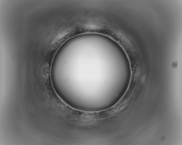 X0000093531301200710261242