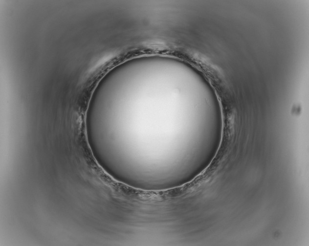 X0000093531302200710261242