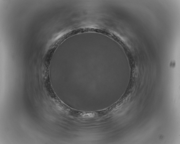 X0000093531303200710261242