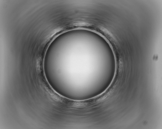 X0000093531305200710261242