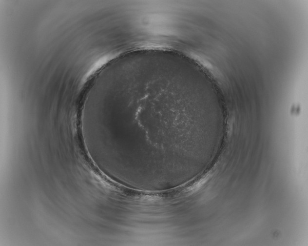 X0000093531306200710261242