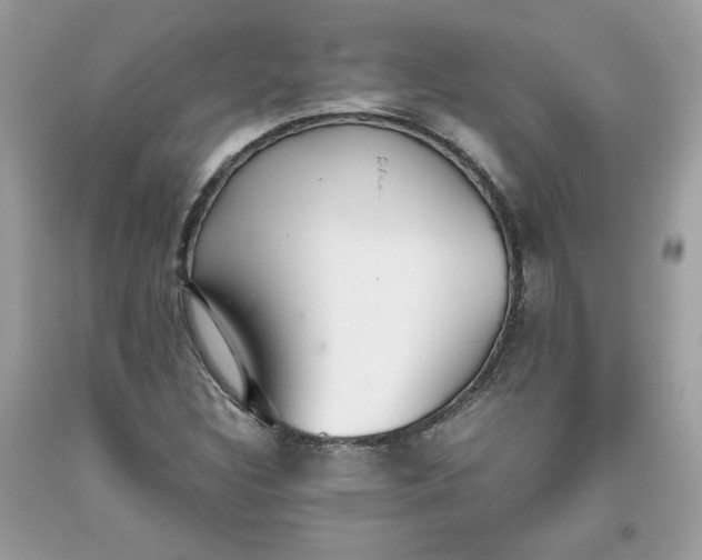 X0000093531308200710261242