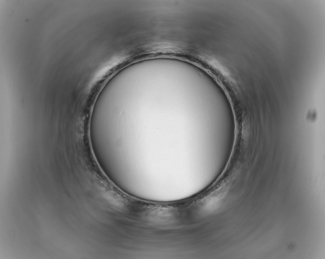 X0000093531309200710261242