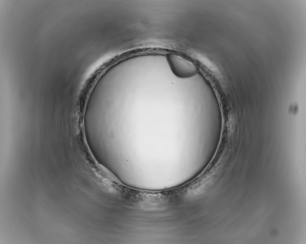 X0000093531310200710261242