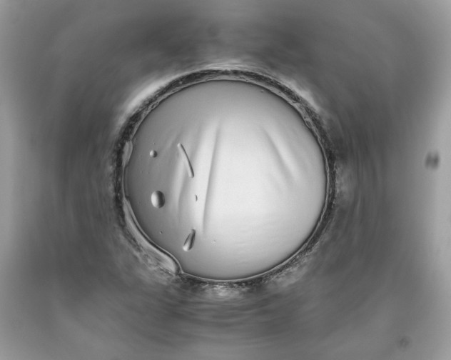 X0000093531311200710261242