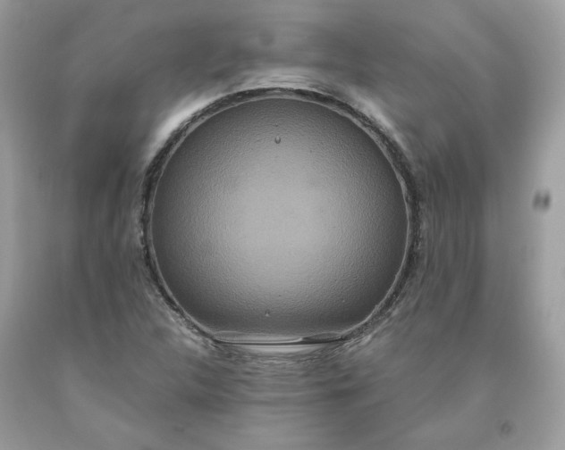 X0000093531312200710261242