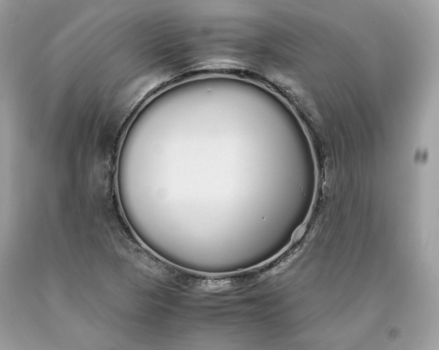 X0000093531313200710261242