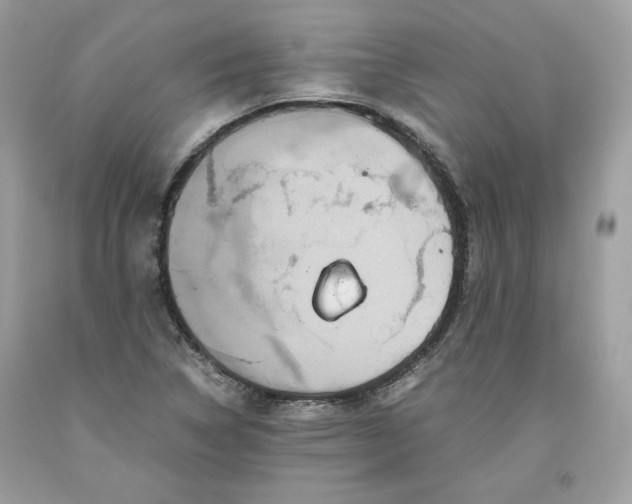 X0000093531314200710261242