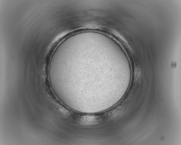 X0000093531315200710261242