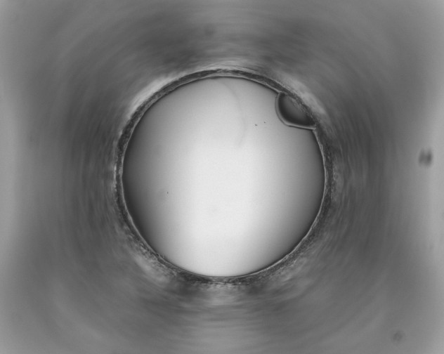 X0000093531316200710261242