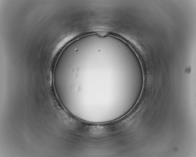 X0000093531317200710261242