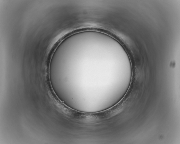 X0000093531318200710261242