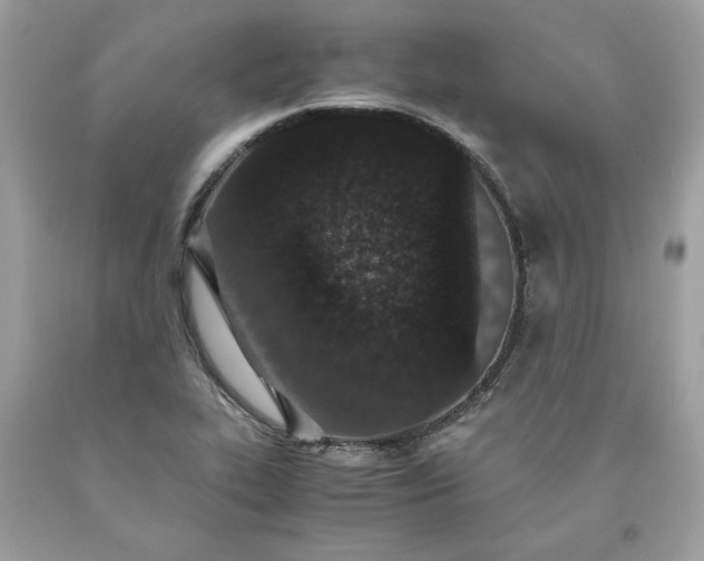 X0000093531319200710261242