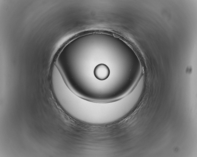 X0000093531320200710261242