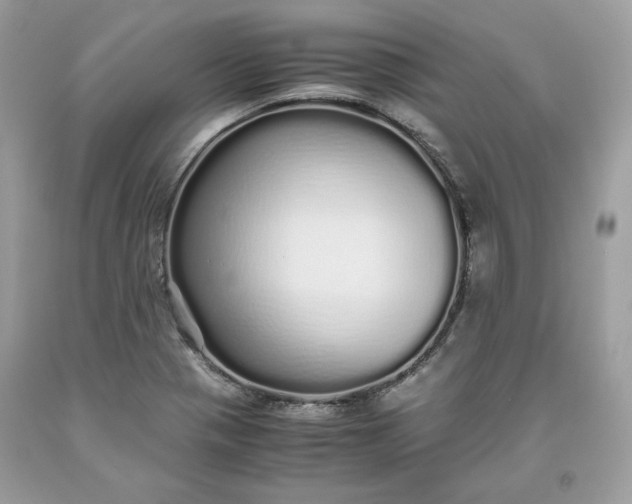 X0000093531321200710261243