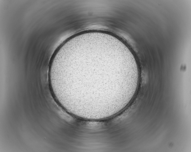 X0000093531322200710261243