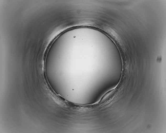 X0000093531324200710261243