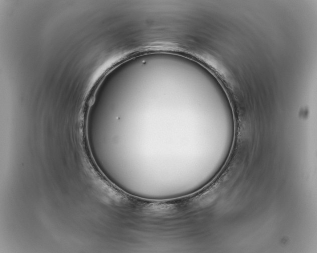 X0000093531325200710261243