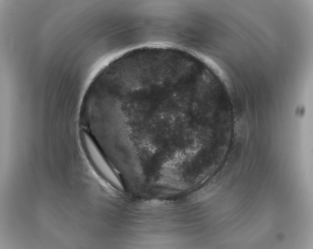 X0000093531327200710261243