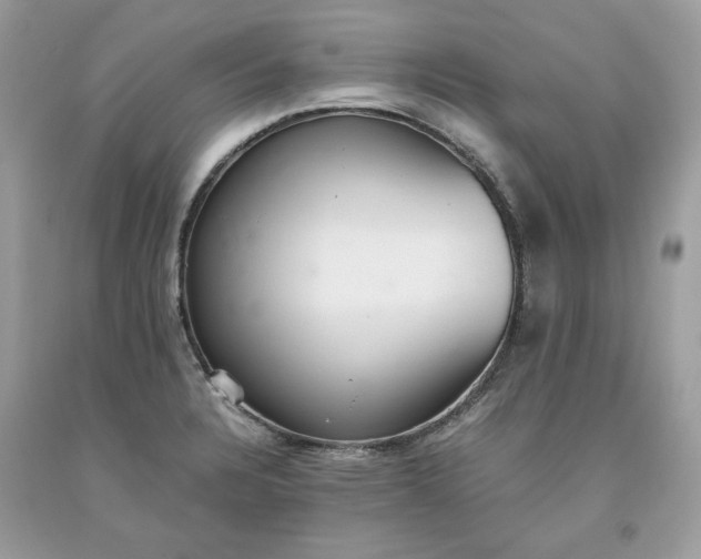 X0000093531328200710261243